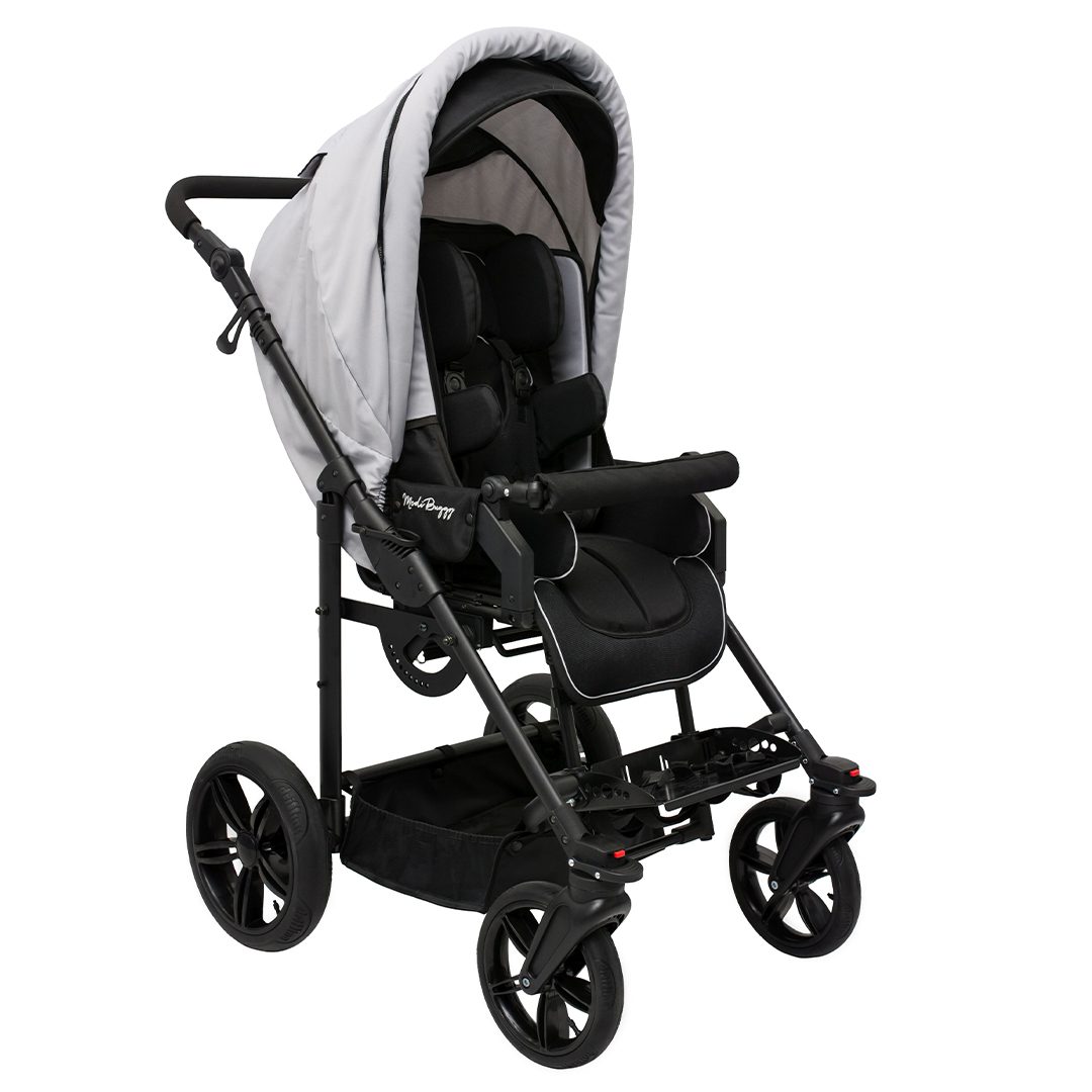 Modi Buggy